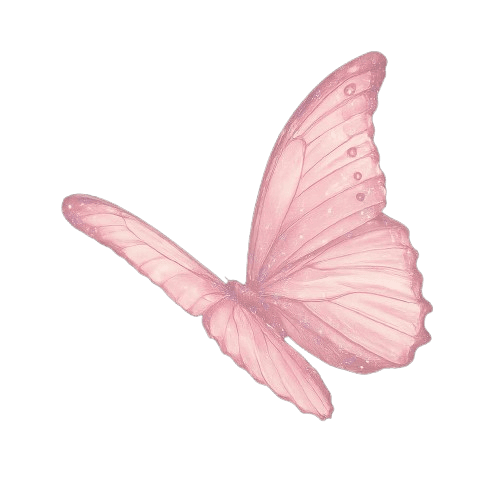 Butterfly icon
